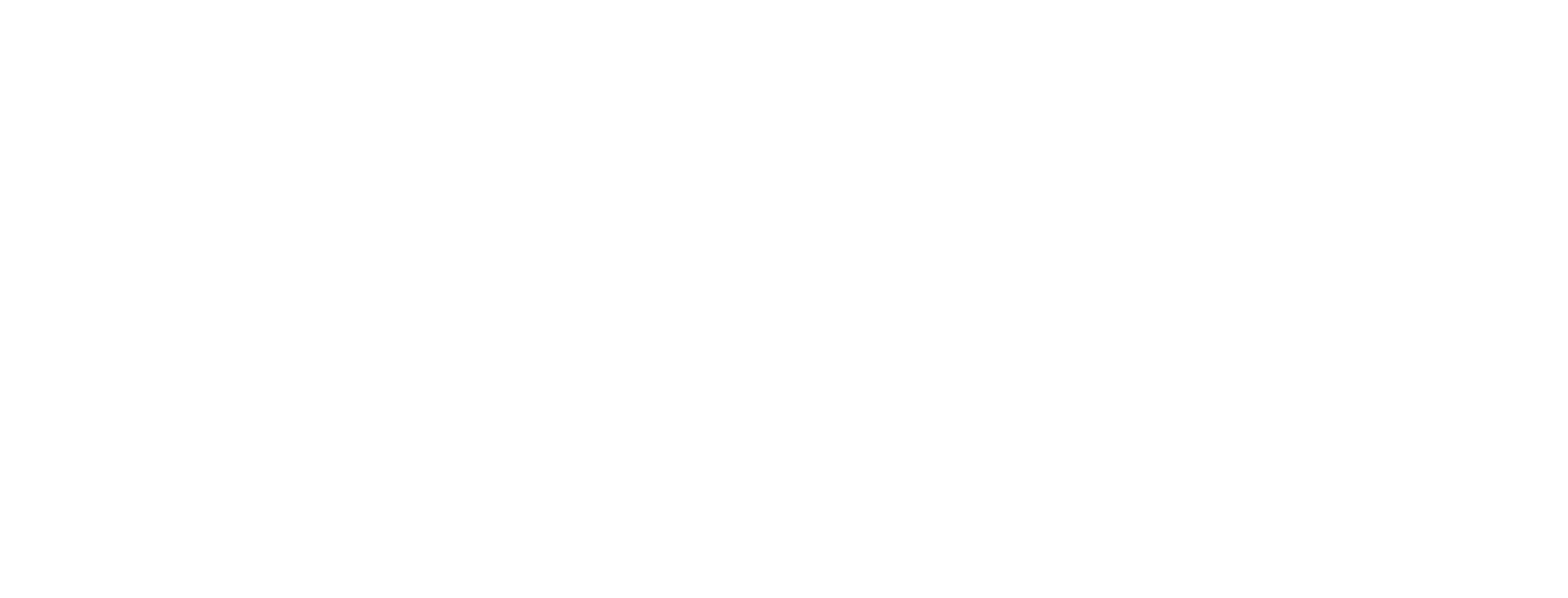 Video Conversion Experts logo